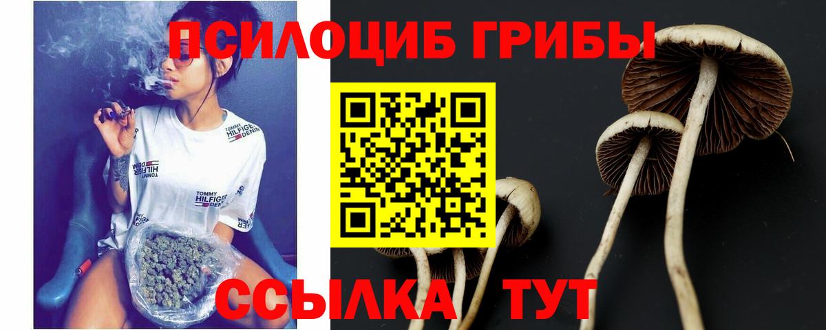 Шахты  Галлюциногенные грибы мухоморы  Вход с VPN 